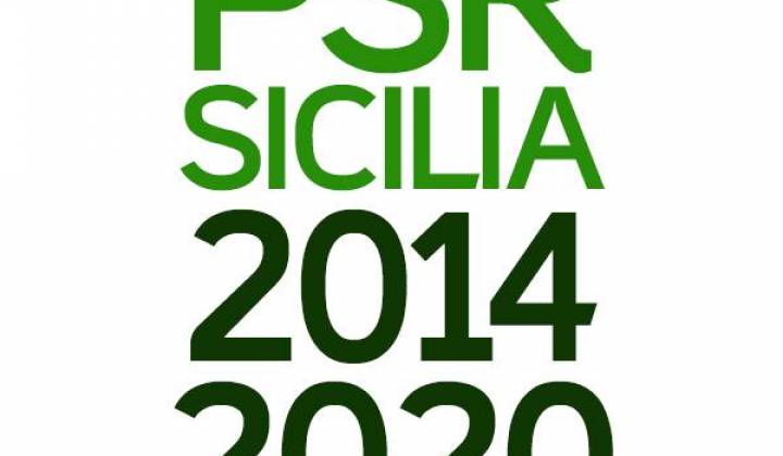 Immagine articolo: Bando OCM Vino 2015/2016 per la Sicilia. Agevolazioni per investimenti e ristrutturazione dei vigneti.