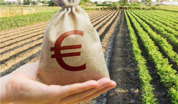 Immagine articolo: Contributi fino all'80% per investire in agricoltura in Sicilia. Possibilità di acquistare anche terreni e fabbricati.