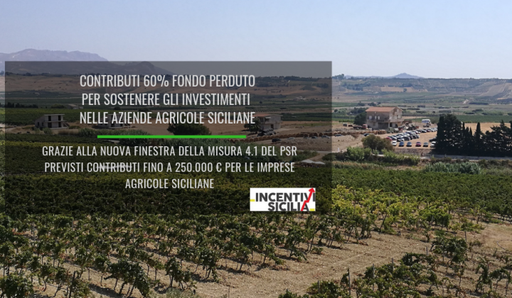 Immagine articolo: Nuova finestra della misura 4.1 PSR Sicilia: contributi 60% fondo perduto per sostenere gli investimenti nelle aziende agricole siciliane
