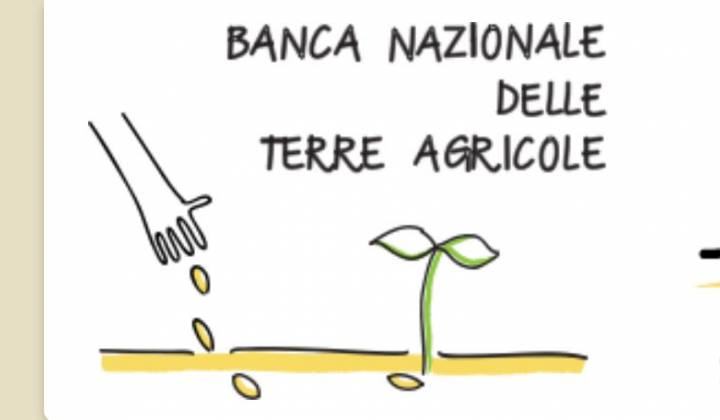 Immagine articolo: Banca delle Terre: al via la 2° asta per aggiudicarsi i terreni messi in vendita dall'ISMEA.  Agevolazioni per i giovani che vogliano acquistare i terreni.