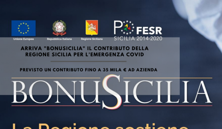 Immagine articolo: BonuSicilia: Ecco l'elenco delle 55.105 imprese ammesse
