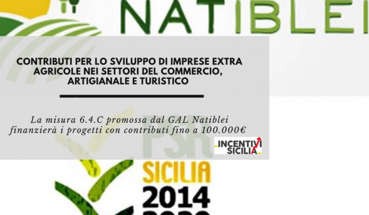 Immagine articolo: Contributi fino a 100.000€ per lo sviluppo di imprese extra agricole nei settori del commercio, artigianale e turistico con la misura 6.4.C del GAL Natiblei