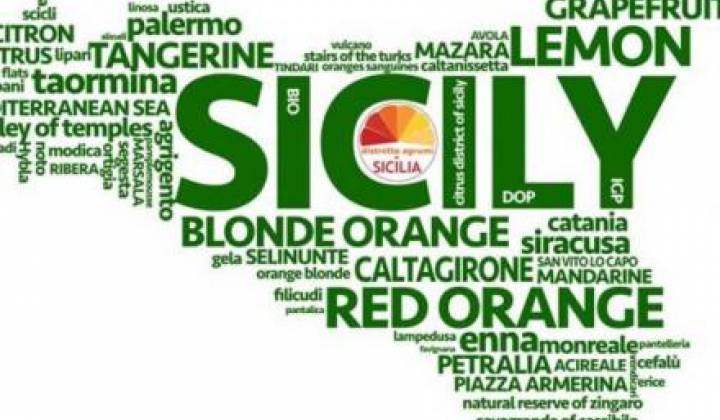 Immagine articolo: Bando "Cluster in Sicilia”: 38 mln € in favore dei consorzi cooperative e reti