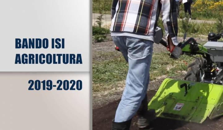 Immagine articolo: Pubblicato il Bando ISI INAIL 2019/2020 dedicato alle sole imprese agricole: quasi 6 mil € per le imprese agricole siciliane