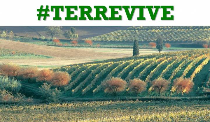 Immagine articolo: In vendita 5.500 ettari di terreni agricoli pubblici. Prelazione ai giovani under 40