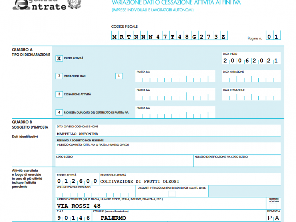 Immagine articolo: apertura partita iva esempio aa9/12