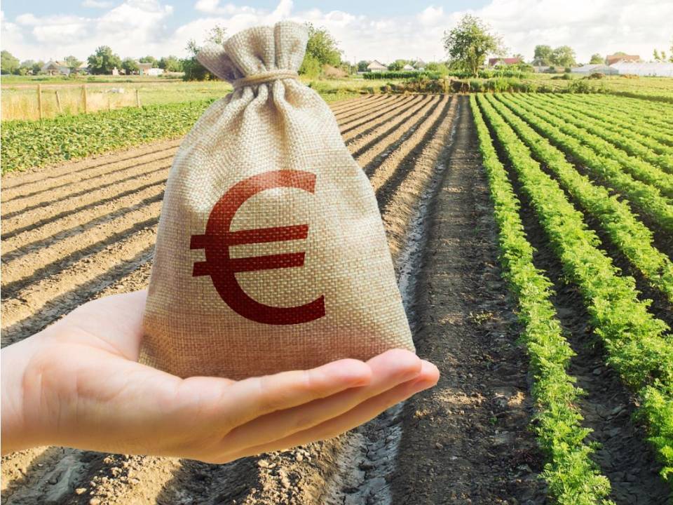 Immagine articolo: Contributi fino all'80% per investire in agricoltura in Sicilia. Possibilità di acquistare anche terreni e fabbricati.