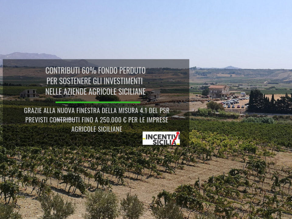 Immagine articolo: Nuova finestra della misura 4.1 PSR Sicilia: contributi 60% fondo perduto per sostenere gli investimenti nelle aziende agricole siciliane