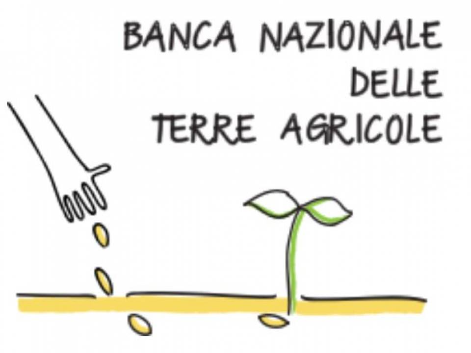 Immagine articolo: Banca delle Terre: al via la 2° asta per aggiudicarsi i terreni messi in vendita dall'ISMEA.  Agevolazioni per i giovani che vogliano acquistare i terreni.