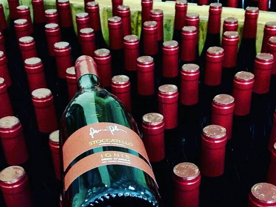 Immagine articolo: Oltre 8 mln € per avviare campagne di marketing per promuovere il vino siciliano all'estero