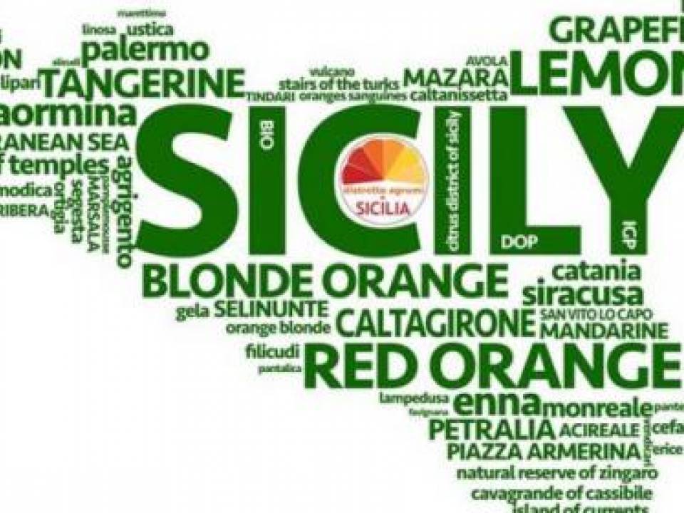 Immagine articolo: Bando "Cluster in Sicilia”: 38 mln € in favore dei consorzi cooperative e reti