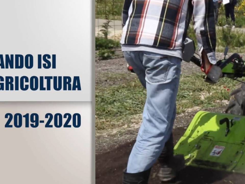 Immagine articolo: Pubblicato il Bando ISI INAIL 2019/2020 dedicato alle sole imprese agricole: quasi 6 mil € per le imprese agricole siciliane