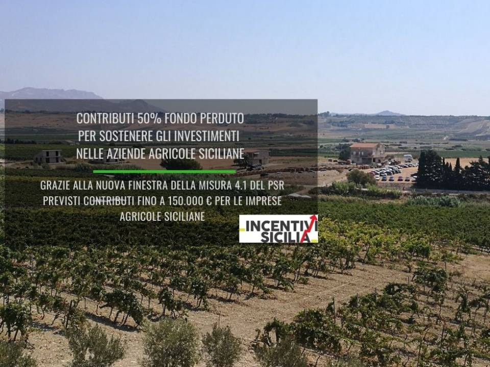 Immagine articolo: Contributi 50% fondo perduto alle aziende agricole siciliane per acquisto macchine agricole, terreni, realizzazione fabbricati e altro grazie alla misura 4.1 PSR Sicilia