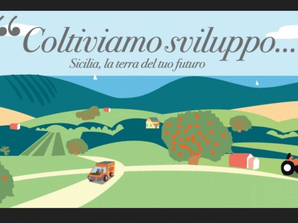 Immagine articolo: Visite in aziende agricole e scambi internazionali nel settore agricolo grazie ai finanziamenti del PSR Sicilia Agricoltura