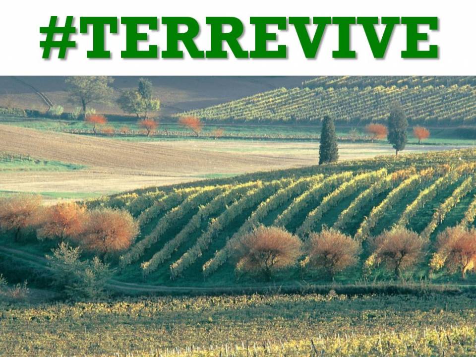 Immagine articolo: Il Ministero dell'Agricoltura emana i crediti di imposta per incentivare il commercio elettronico e la creazione di reti d'impresa