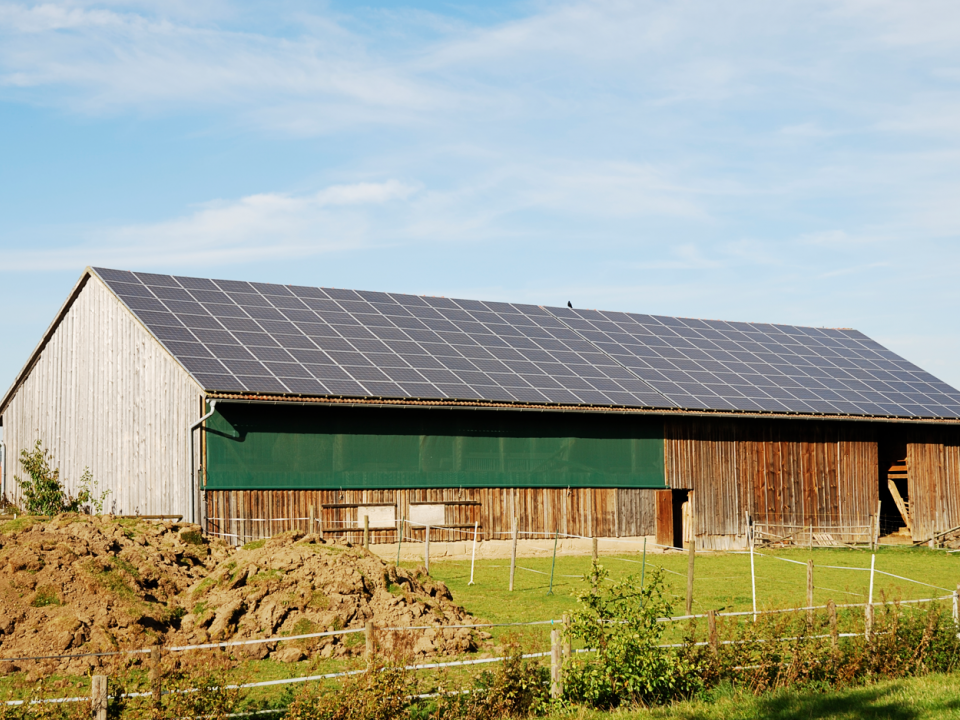 Immagine articolo: Contributo 40% fondo perduto per impianti fotovoltaici e minieolici. Fondi riservati alle imprese del SUD